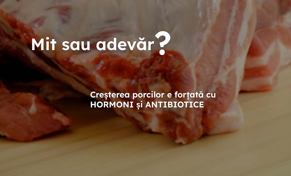 Mituri despre carnea de porc